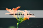 003比赛结果最新，足彩003