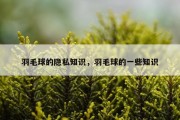 羽毛球的隐私知识，羽毛球的一些知识