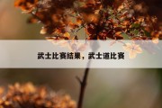 武士比赛结果，武士道比赛