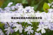 我追体坛她追内娱的简单介绍