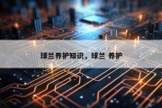 球兰养护知识，球兰 养护