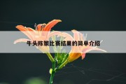 牛头陈策比赛结果的简单介绍