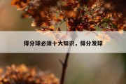 得分球必须十大知识，得分发球