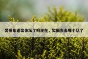 樊振东退出体坛了吗现在，樊振东去哪个队了