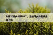 分娩球相关知识PPT，分娩球ppt模板免费下载