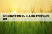 羽毛球解说专业知识，羽毛球解说专业知识有哪些