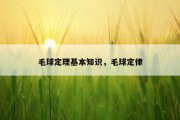 毛球定理基本知识，毛球定律