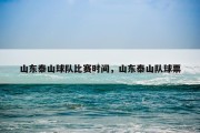 山东泰山球队比赛时间，山东泰山队球票