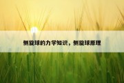 侧旋球的力学知识，侧旋球原理