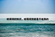 玻璃球的知识，玻璃球到底是干啥用的