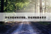 羽毛球基本知识球拍，羽毛球拍基本常识