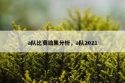 a队比赛结果分析，a队2021