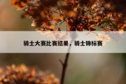 骑士大赛比赛结果，骑士锦标赛