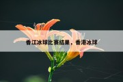 香江冰球比赛结果，香港冰球