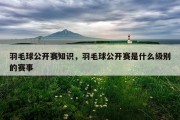 羽毛球公开赛知识，羽毛球公开赛是什么级别的赛事