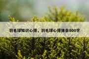 羽毛球知识心得，羽毛球心得体会800字