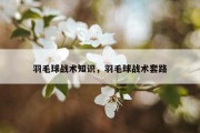 羽毛球战术知识，羽毛球战术套路