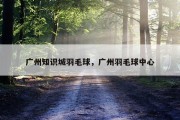 广州知识城羽毛球，广州羽毛球中心
