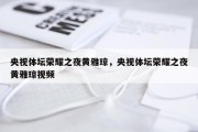 央视体坛荣耀之夜黄雅琼，央视体坛荣耀之夜黄雅琼视频