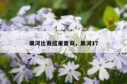 黑河比赛结果查询，黑河17