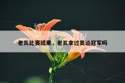 老瓦比赛结果，老瓦拿过奥运冠军吗