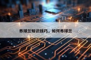 养球兰知识技巧，如何养球兰