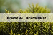 羽毛球步法知识，羽毛球步法图解 gif