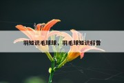 羽知识毛球球，羽毛球知识科普