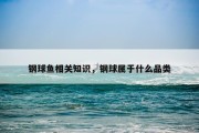 钢球鱼相关知识，钢球属于什么品类