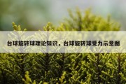 台球旋转球理论知识，台球旋转球受力示意图