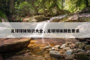 足球球袜知识大全，足球球袜颜色要求