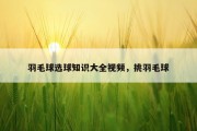 羽毛球选球知识大全视频，挑羽毛球