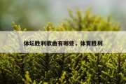 体坛胜利歌曲有哪些，体育胜利