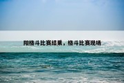 阳格斗比赛结果，格斗比赛现场