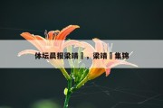 体坛晨报梁靖崑，梁靖崑集锦