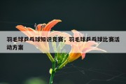 羽毛球乒乓球知识竞赛，羽毛球乒乓球比赛活动方案