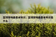 蓝球球场最基本知识，蓝球球场最基本知识是什么