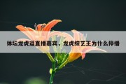 体坛龙虎逗直播嘉宾，龙虎综艺王为什么停播