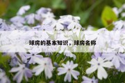 球房的基本知识，球房名称
