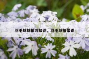 羽毛球球拍冷知识，羽毛球拍常识