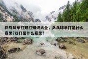 乒乓球单打双打知识大全，乒乓球单打是什么意思?双打是什么意思?