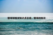 毽球球相关知识点总结，毽球的知识