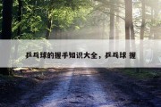 乒乓球的握手知识大全，乒乓球 握