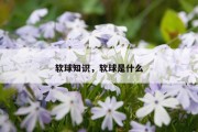 软球知识，软球是什么