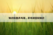 知识科普乒乓球，乒乓球百科知识