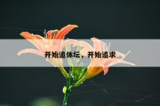 开始追体坛，开始追求