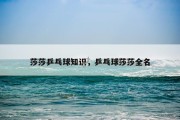 莎莎乒乓球知识，乒乓球莎莎全名