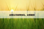 企鹅从天而降体坛，企鹅跳跃