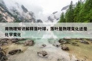 用物理知识解释落叶球，落叶是物理变化还是化学变化