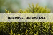 羽毛球故事知识，羽毛球励志小故事